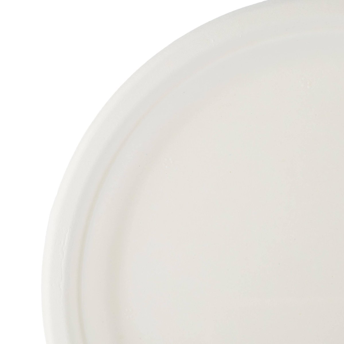 Biodegradable Paper Pulp Plate | 10 Pieces - hotpackwebstore.com - 