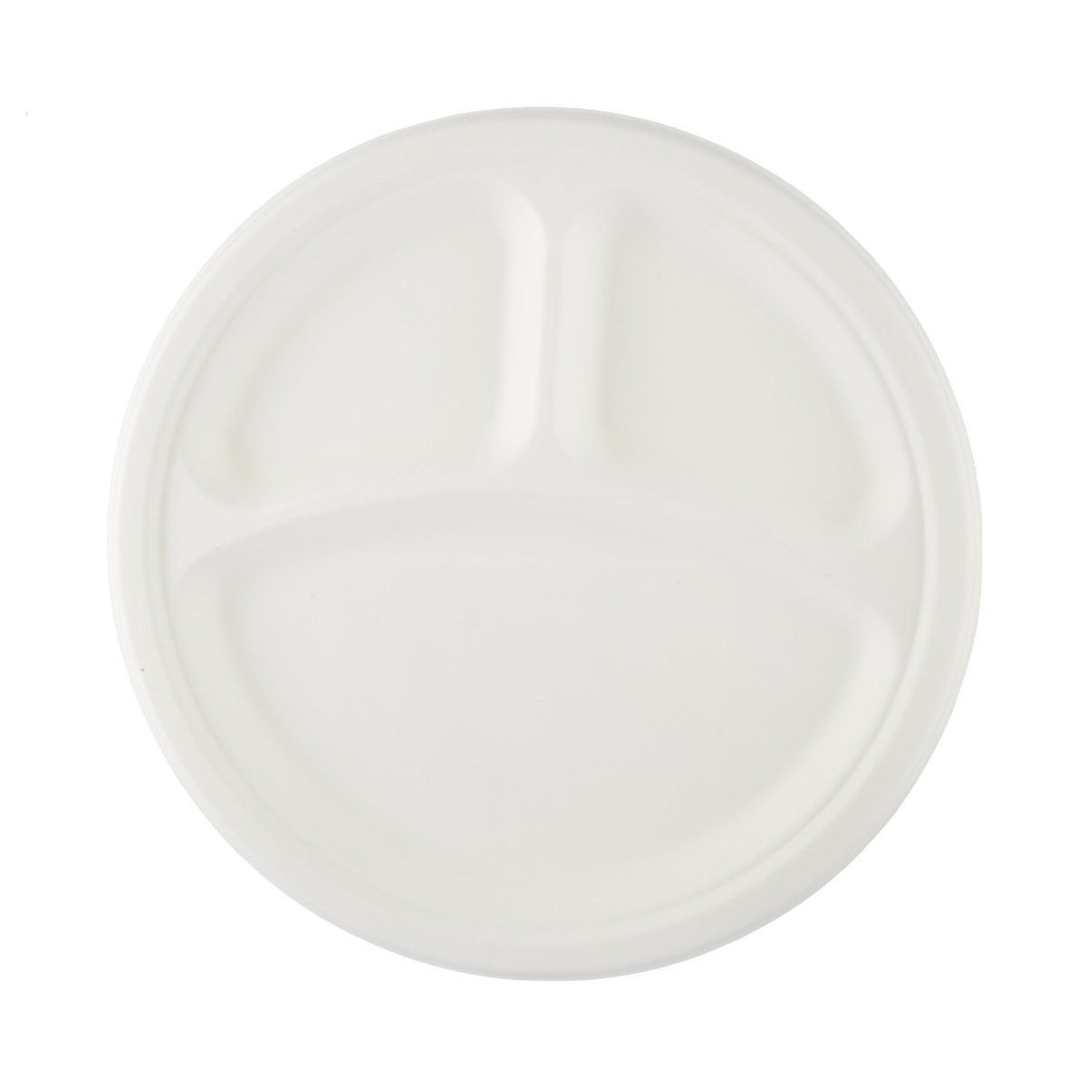 Biodegradable Paper Pulp Plate | 10 Pieces - hotpackwebstore.com - 