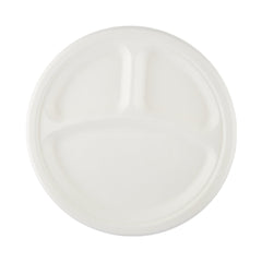 Biodegradable Paper Pulp Plate | 10 Pieces - hotpackwebstore.com - 