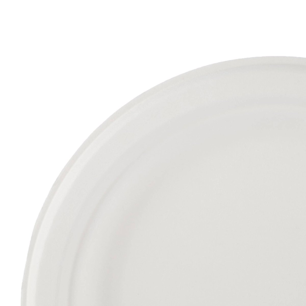 Biodegradable Paper Pulp Plate | 10 Pieces - hotpackwebstore.com - 