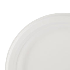 Biodegradable Paper Pulp Plate | 10 Pieces - hotpackwebstore.com - 