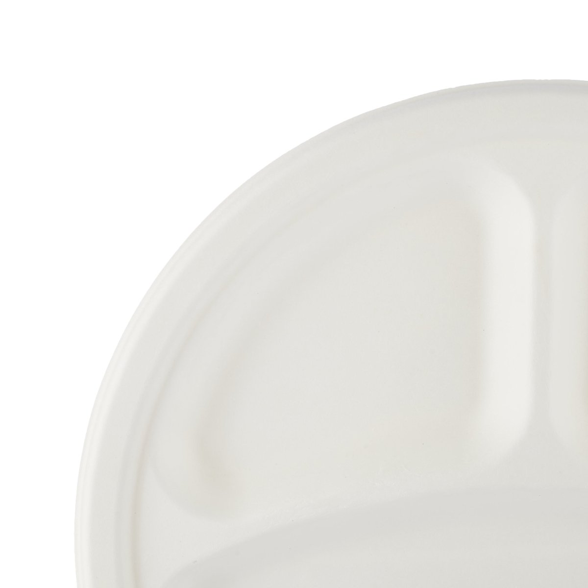 Biodegradable Paper Pulp Plate | 10 Pieces - hotpackwebstore.com - 