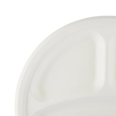 Biodegradable Paper Pulp Plate | 10 Pieces - hotpackwebstore.com - 