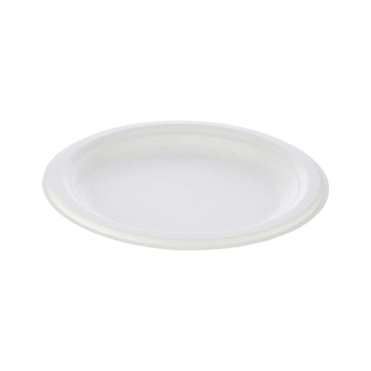 Biodegradable Paper Pulp Plate | 10 Pieces - hotpackwebstore.com - 