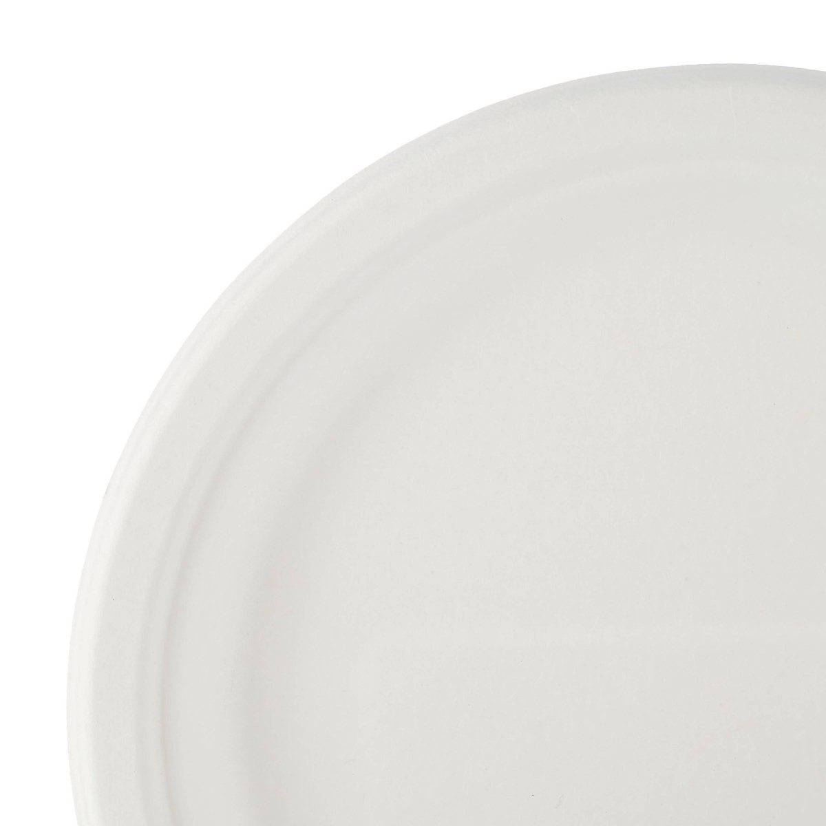 Biodegradable Paper Pulp Plate | 10 Pieces - hotpackwebstore.com - 