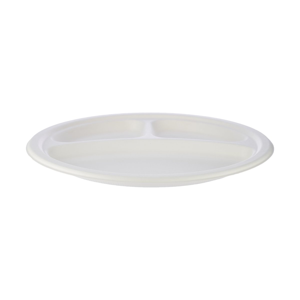 Biodegradable Paper Pulp Plate | 10 Pieces - hotpackwebstore.com - 