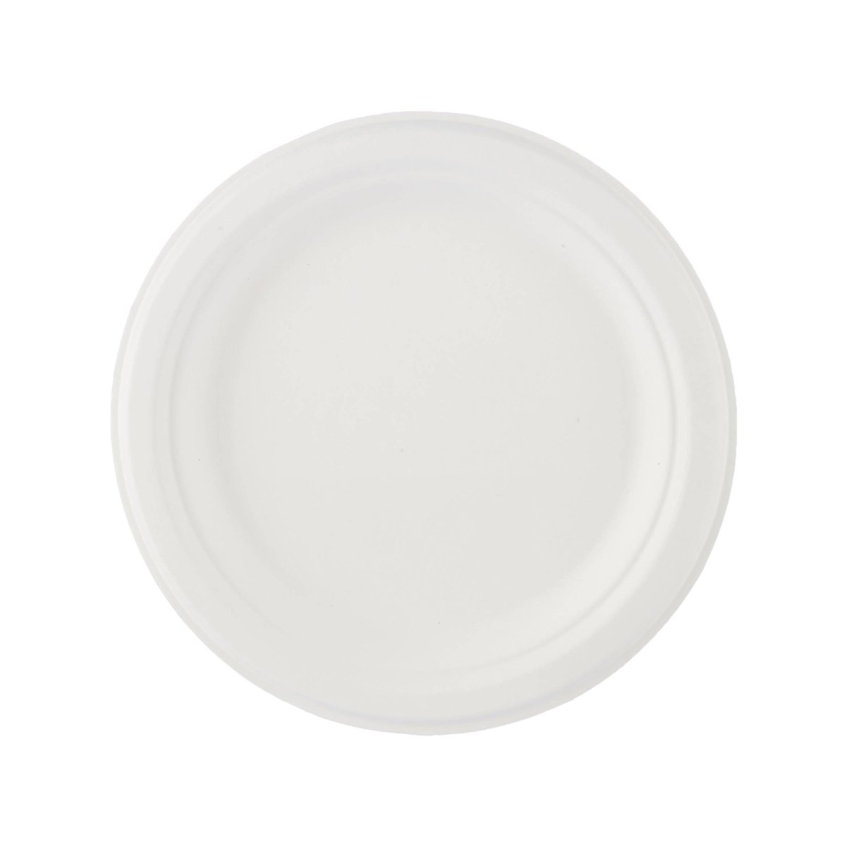 Biodegradable Paper Pulp Plate | 10 Pieces - hotpackwebstore.com - 