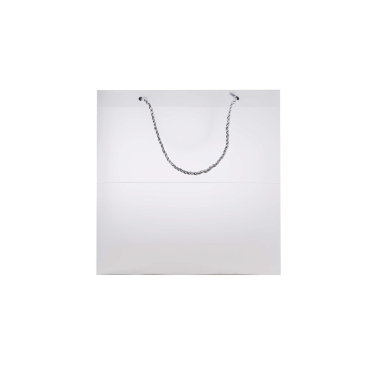 PP Clear Luxury Gift Bag - hotpackwebstore.com - Gift Bags