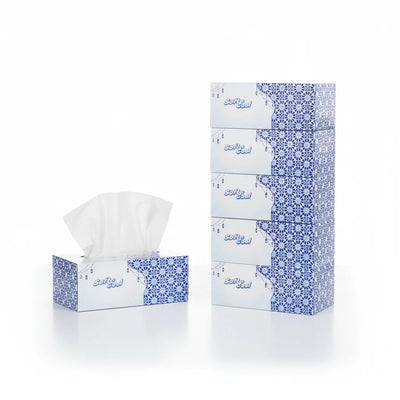 30 Boxes Soft n Cool Ramadan Theme  Facial Tissue 200 Sheets x 2 Ply - hotpackwebstore.com