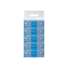 Soft n Cool Facial Tissue Nylon Pack 200 Sheets x 2 ply + 500 ml Soft n Cool Liquid Hand Wash 28th Anniversary Combo - hotpackwebstore.com - Combo Packs