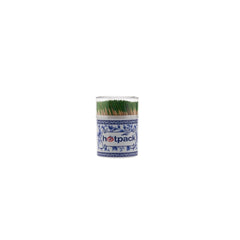 Toothpick with Minted Ends - hotpackwebstore.com - Toothpick