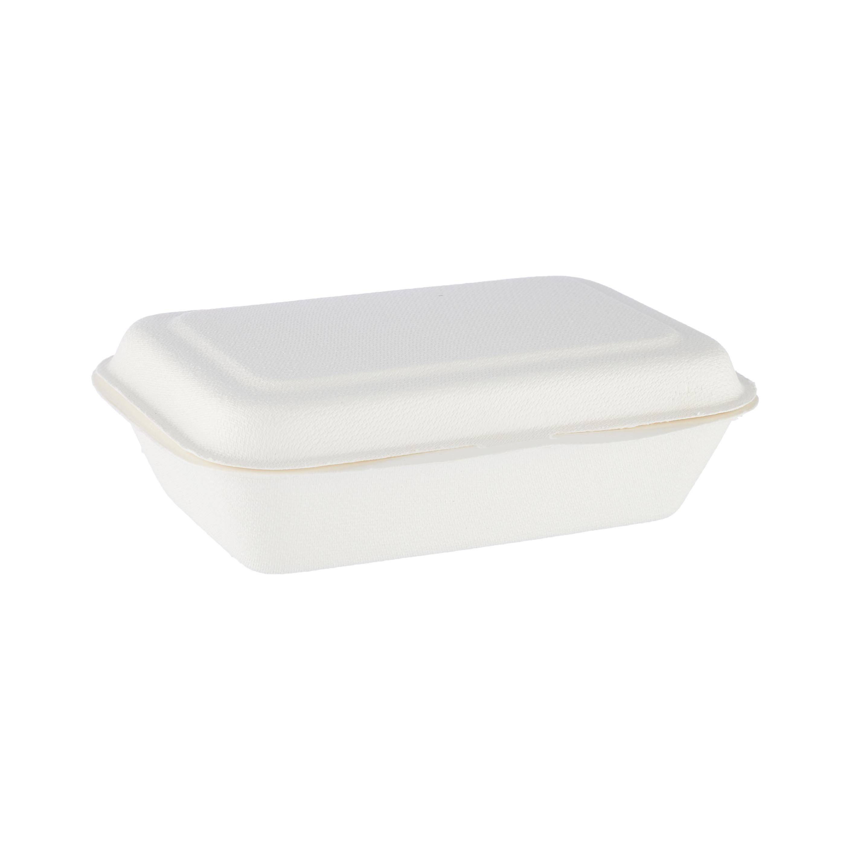 Bio-Degradable Hinged Container 6x4 Inch 1000 Pieces - Hotpack Global