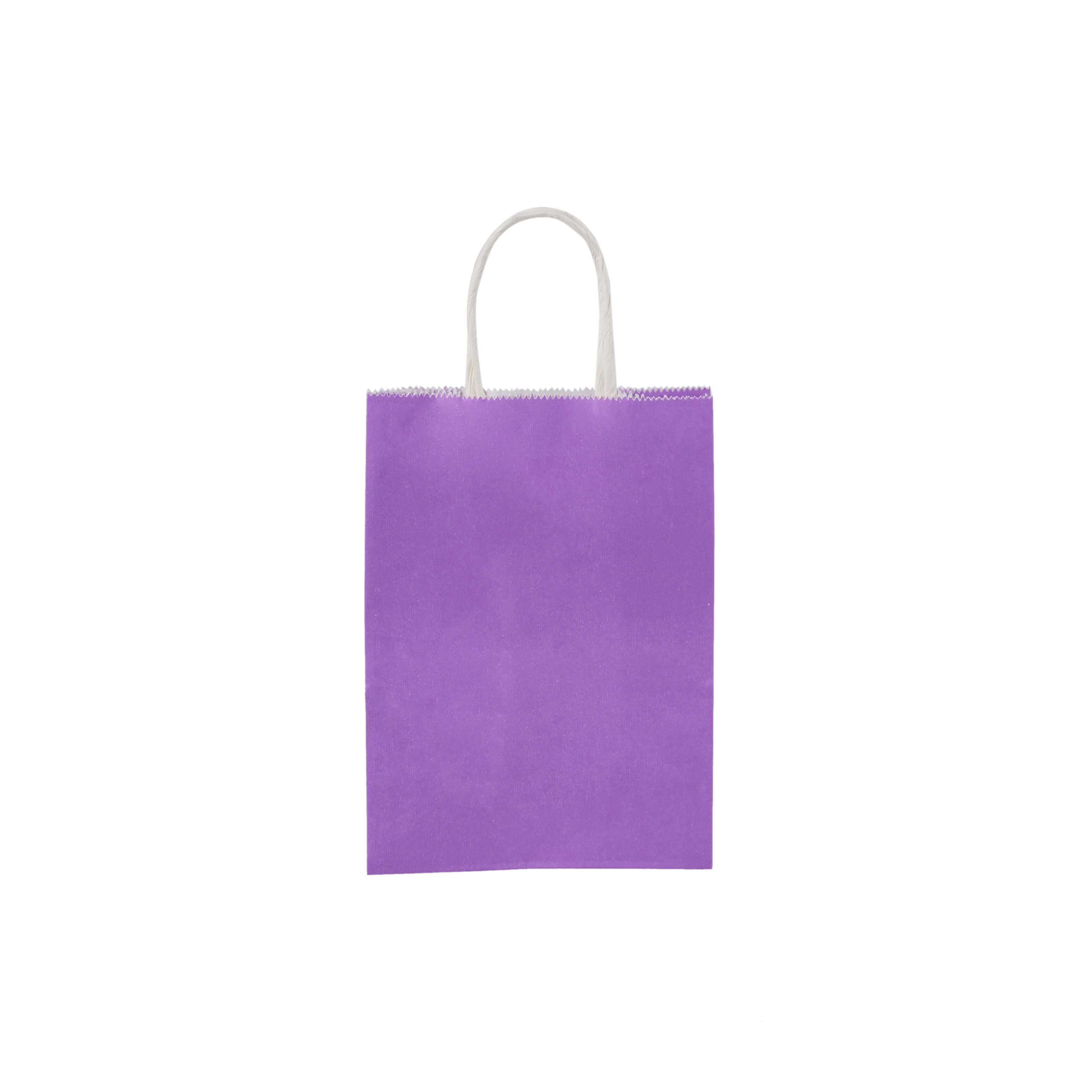 Purple Gift Paper Bag Twisted Handle - hotpackwebstore.com