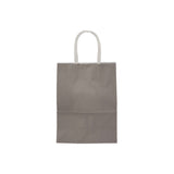 Grey Gift Paper Bag Twisted Handle - hotpackwebstore.com