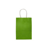 Green Gift Paper Bag Twisted Handle - hotpackwebstore.com