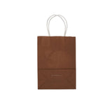 Gift Paper Bag Twisted Handle - hotpackwebstore.com