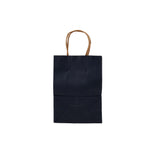 Black Gift Paper Bag Twisted Handle - hotpackwebstore.com