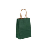 Green Gift Paper Bag Twisted Handle - hotpackwebstore.com