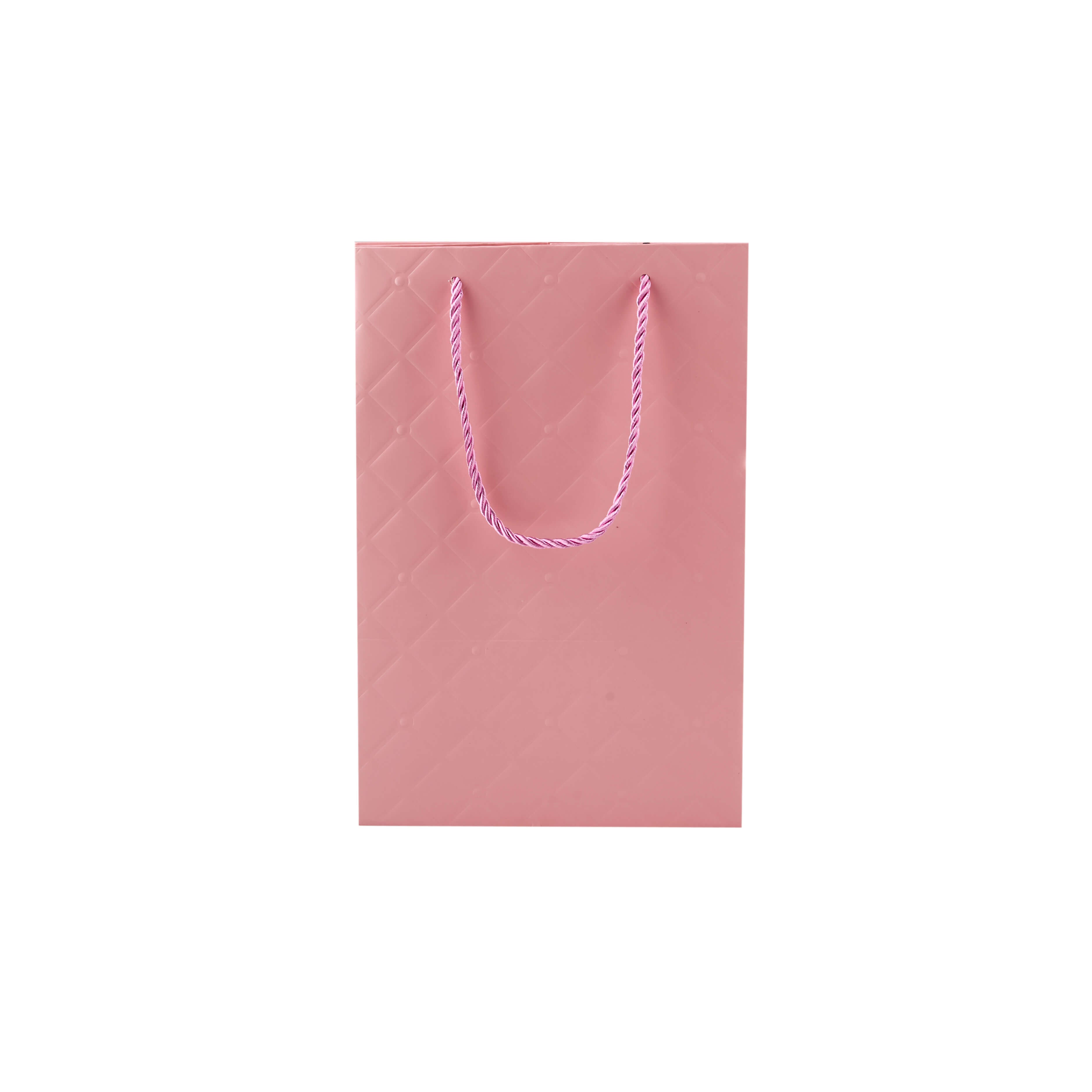 Pack of 200 Small Landscape Pink Paper Gift Bags With Rope Handles and  Ribbon | Tiny Box Company