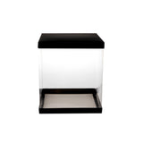 Tall Transparent Cake Box With Black Base 1 Piece - hotpackwebstore.com