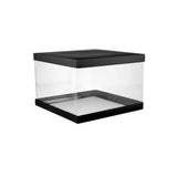 Tall Transparent Cake Box With Black Base 1 Piece - hotpackwebstore.com