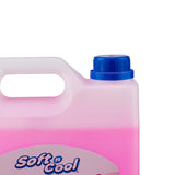 Handwash Liquid 5 Litre 4 Pieces - hotpackwebstore.com