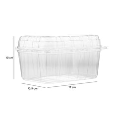 Clear PET Punnet Veg & Fruits Container - Hotpack Global