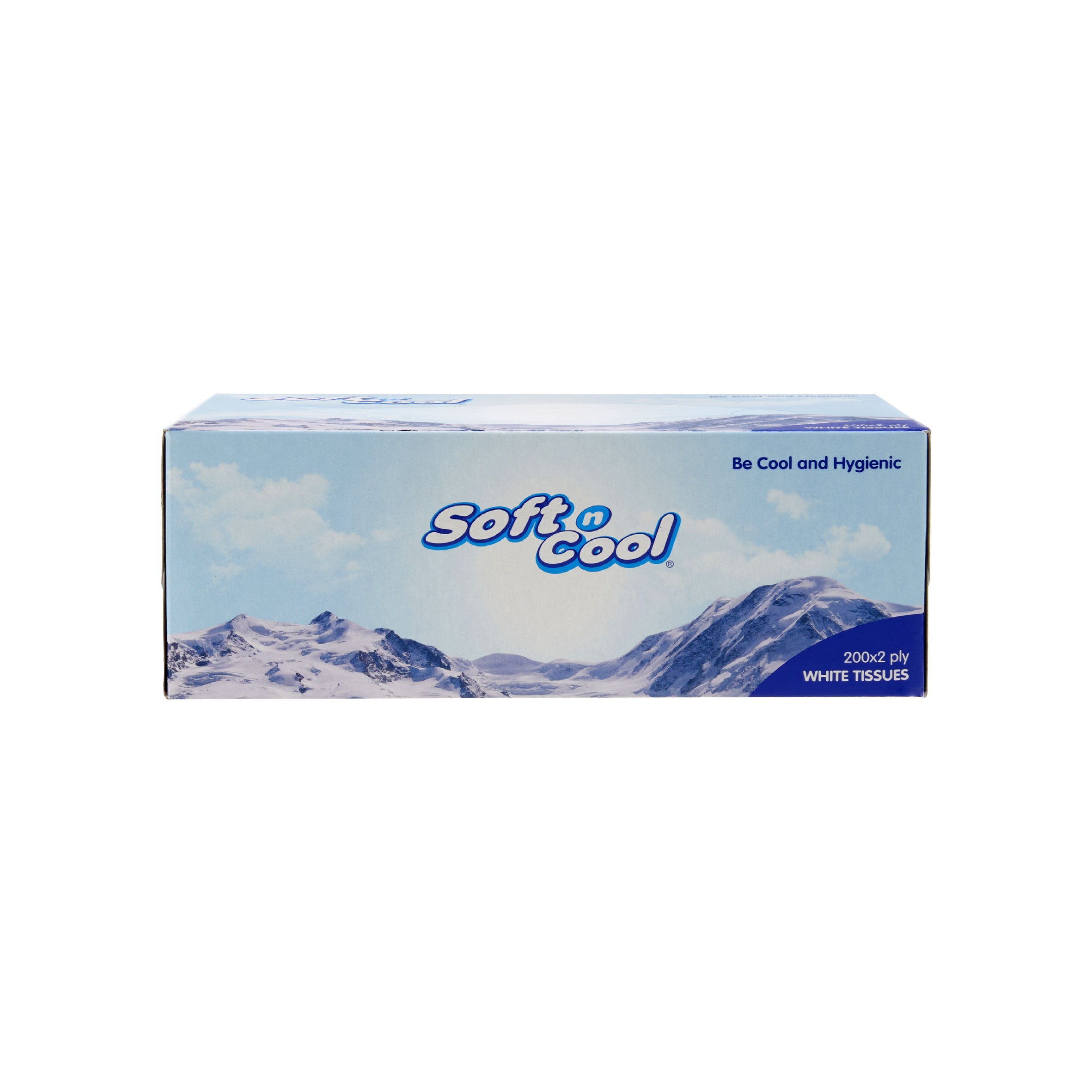 30 boxes Soft n Cool Facial Tissue 200 Sheets x 2 ply - hotpackwebstore.com